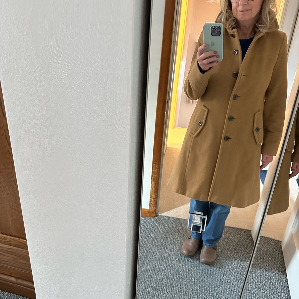 Winter Coat/Wool/Full Length - image 6